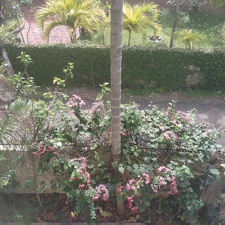 Paradise Inn Guest House Alappuzha Dış mekan fotoğraf
